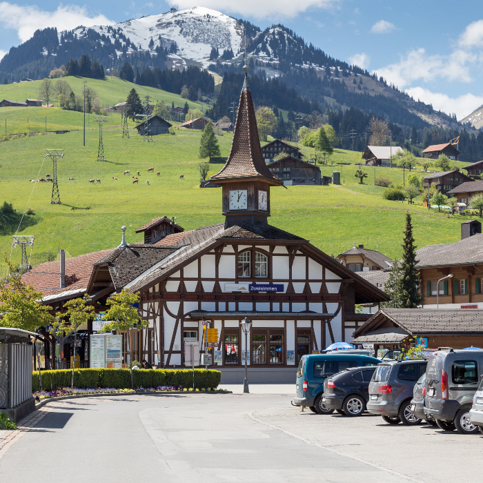 Ferienwohnung Chalet Finkenwiese ganzes Haus Zweisimmen FEWOlution