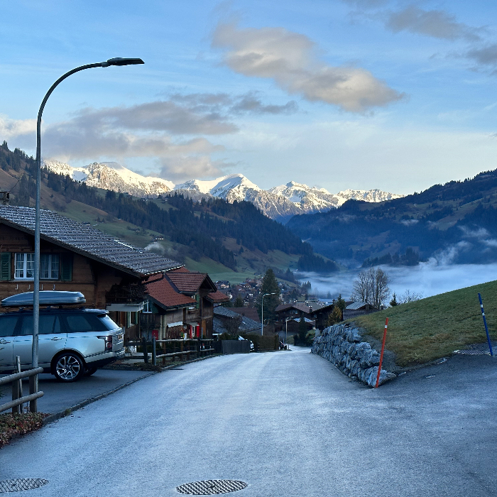 FEWOlution Ferienwohnung Chalet Finkenwiese ganzes Haus Zweisimmen