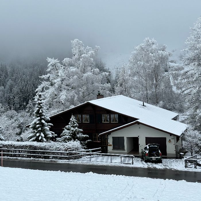 FEWOlution Ferienwohnung Chalet Finkenwiese ganzes Haus Zweisimmen