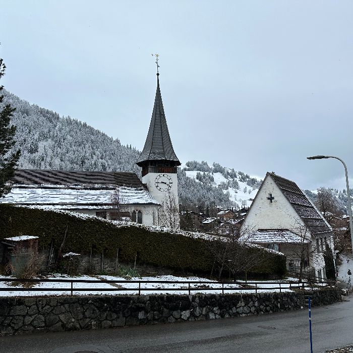 FEWOlution Ferienwohnung Chalet Finkenwiese ganzes Haus Zweisimmen