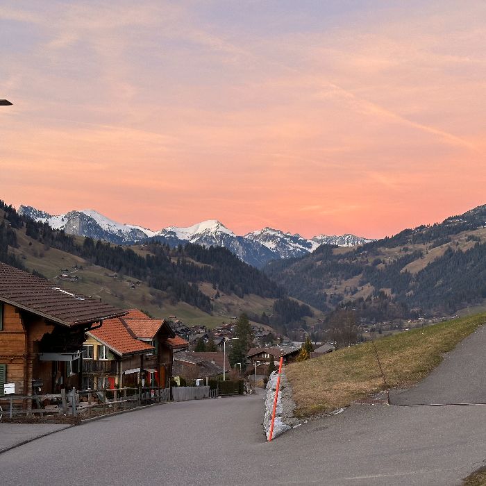 FEWOlution Ferienwohnung Chalet Finkenwiese ganzes Haus Zweisimmen