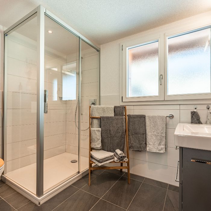 FEWOlution Ferienwohnung Chalet Fankhus Adelboden