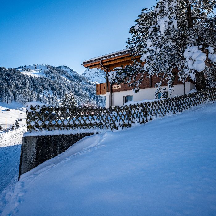 FEWOlution Ferienwohnung Chalet Fankhus Adelboden