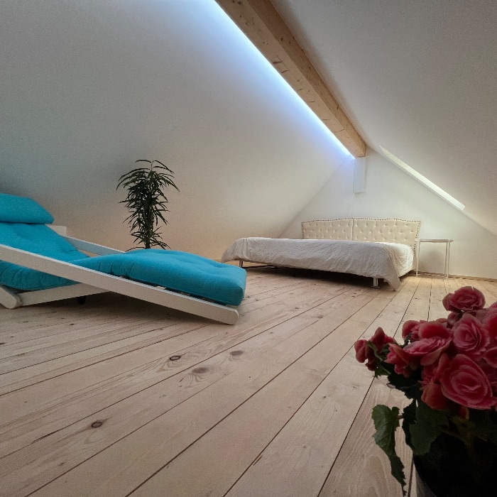 Ferienwohnung SoHO Apartment 2OG Schaffhausen Hemmental FEWOlution