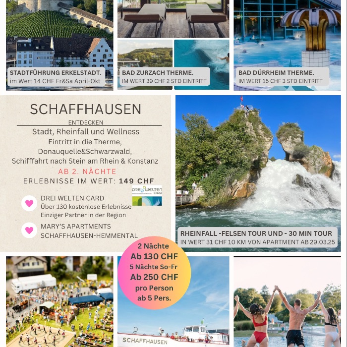 FEWOlution Ferienwohnung SoHO Apartment 2OG Schaffhausen Hemmental