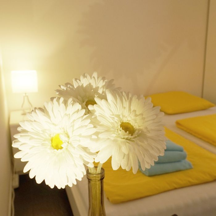 FEWOlution Ferienwohnung Residenza Faggi Ascona Locarno Losone