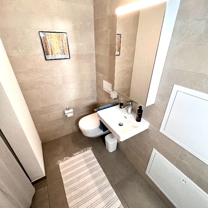 Ferienwohnung MarAvilia Apartment Camignolo Monteceneri FEWOlution