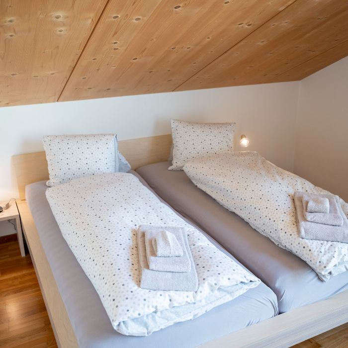 Ferienwohnung Chasa Bagnera 174 Scuol FEWOlution