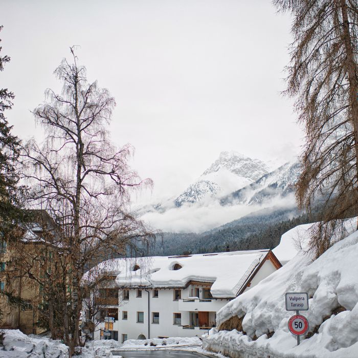 Ferienwohnung Chasa Grusaida Vulpera FEWOlution