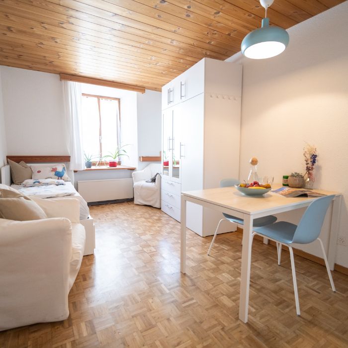 FEWOlution Ferienwohnung Chasa Vi Studio Scuol