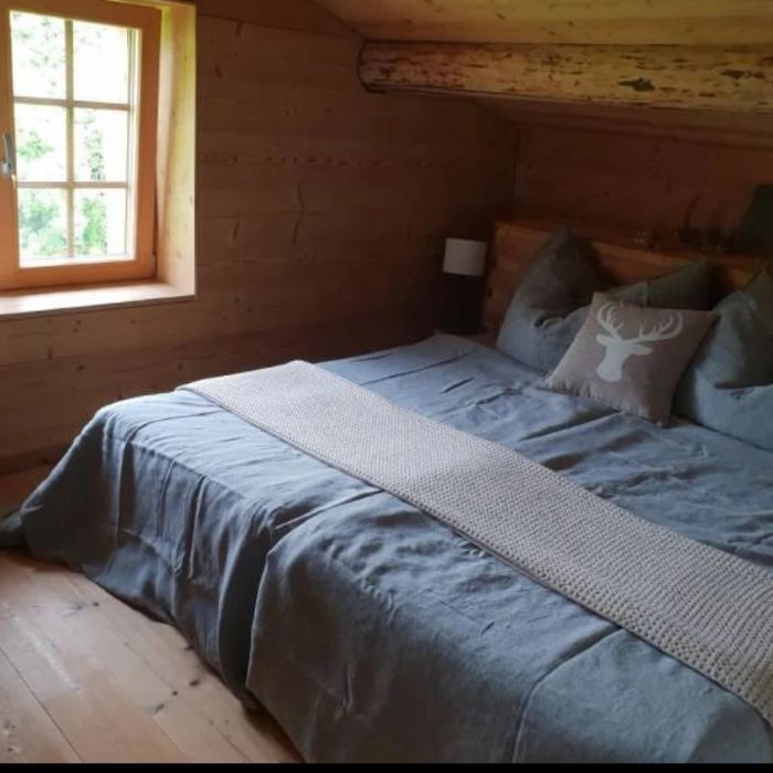FEWOlution Ferienwohnung Hüttenzauber Fideris Heuberge Fideris