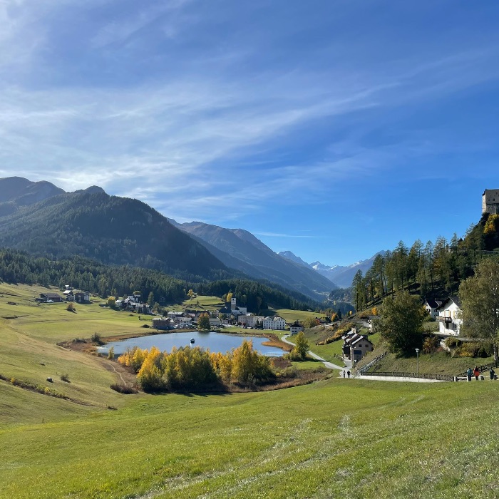 FEWOlution Ferienwohnung Haus Alpenrose Vulpera