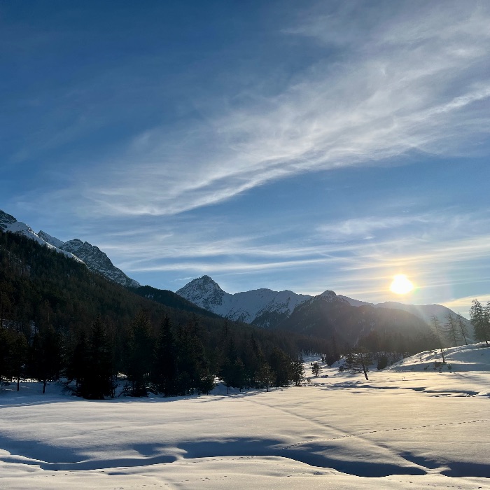 FEWOlution Ferienwohnung Haus Alpenrose Vulpera