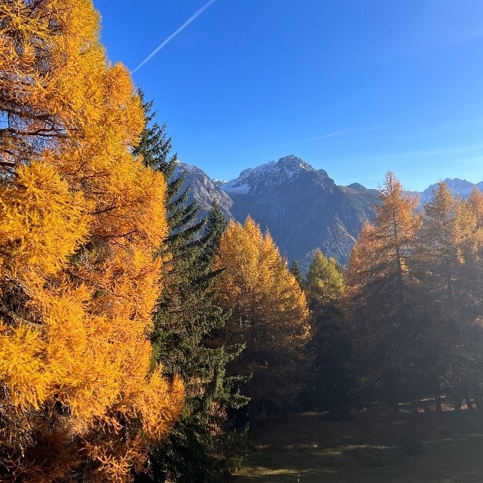 FEWOlution Ferienwohnung Haus Alpenrose Vulpera
