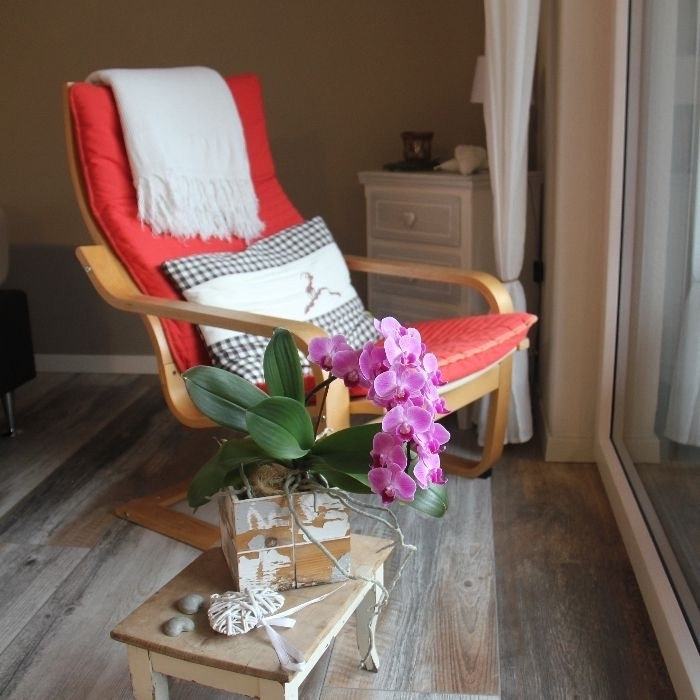 FEWOlution Ferienwohnung Studio Bergwohl Grindelwald