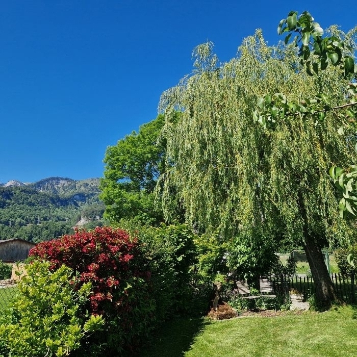 Ferienwohnung Ferienhaus Kluser Oberriet FEWOlution