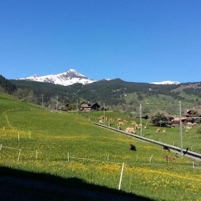 FEWOlution Ferienwohnung Chalet Bärgblick Grindelwald