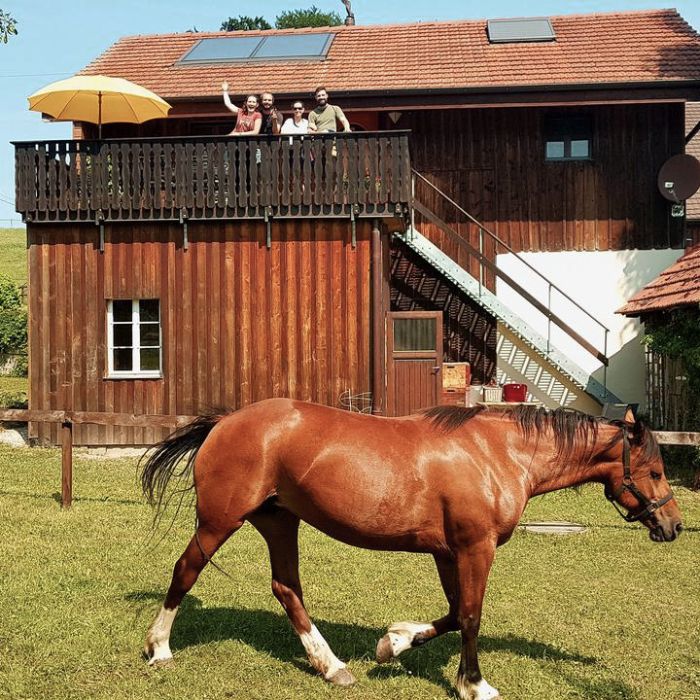 Ferienwohnung Guesthouse la Molière Murist FEWOlution
