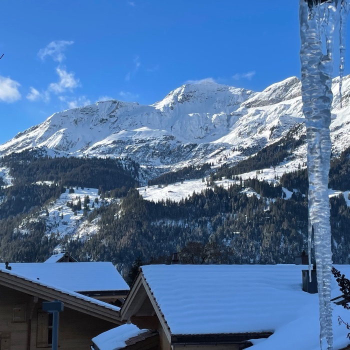 FEWOlution Ferienwohnung Chalet Schluecht Wengen