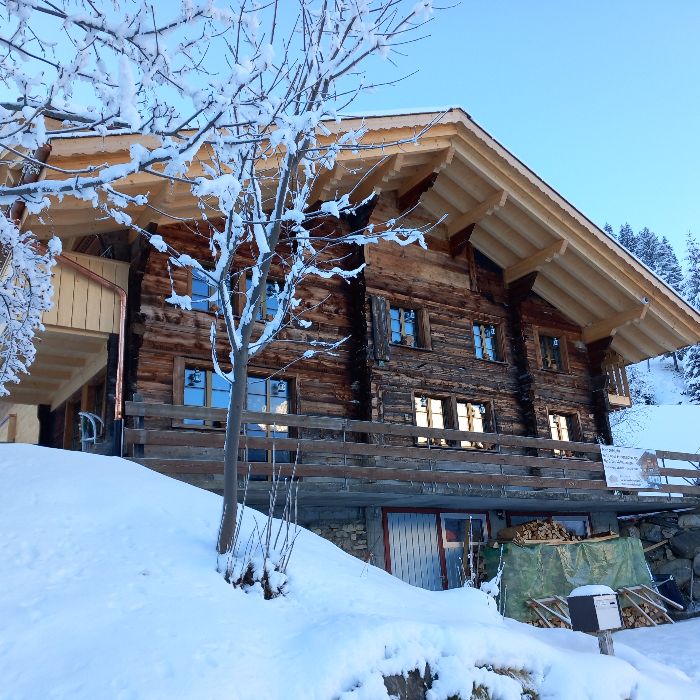 FEWOlution Ferienwohnung Chalet Chuenis Adelboden