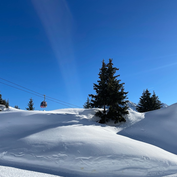 Ferienwohnung Chalet La Montanara -Schönbiel Bettmeralp FEWOlution