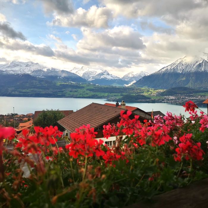 Ferienwohnung Chalet Alpenblick Tschingel ob Gunten FEWOlution