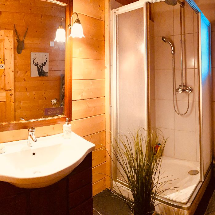 Ferienwohnung Chalet Alpenblick Tschingel ob Gunten FEWOlution