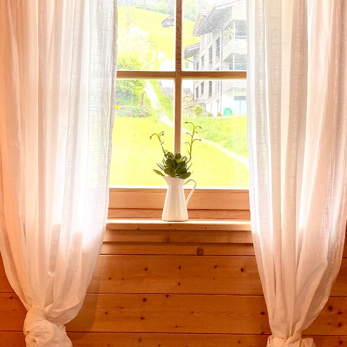 Ferienwohnung Chalet Alpenblick Tschingel ob Gunten FEWOlution