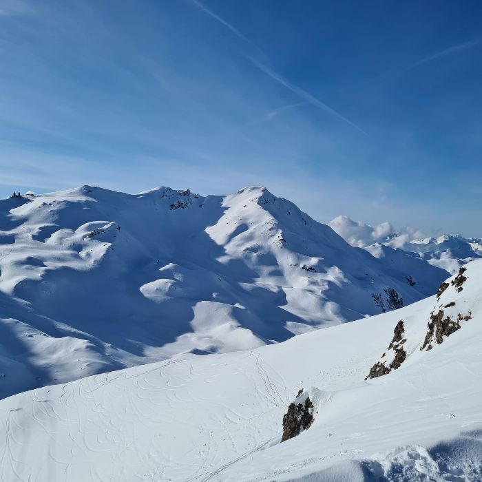 FEWOlution Ferienwohnung FeWo D Rock Arosa 4-adult only Arosa