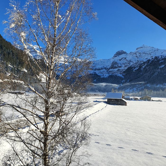 Ferienwohnung Burgbühler Guesthouse Lenk FEWOlution