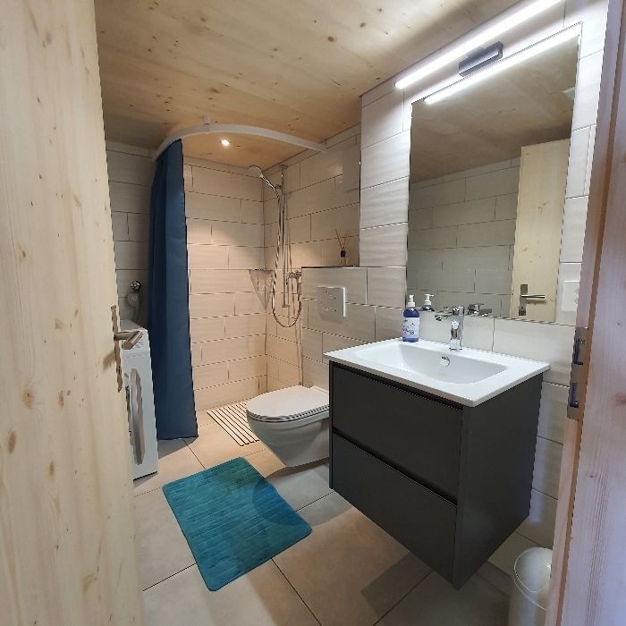Ferienwohnung Burgbühler Guesthouse Lenk FEWOlution