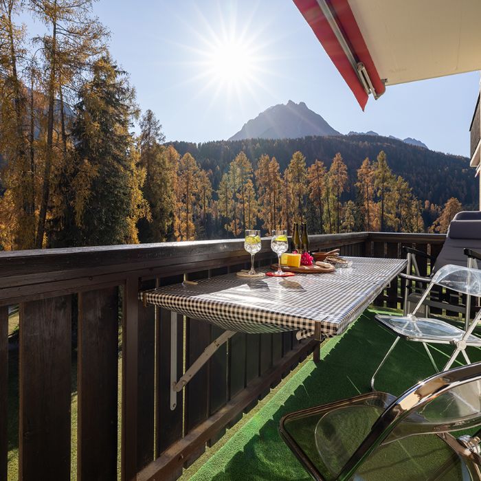 FEWOlution Ferienwohnung Brentschpark 73 - ruhig & hell Scuol