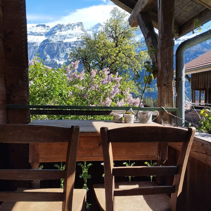FEWOlution Ferienwohnung Ferienhaus Schwanderbärgli Schwanden bei Brienz