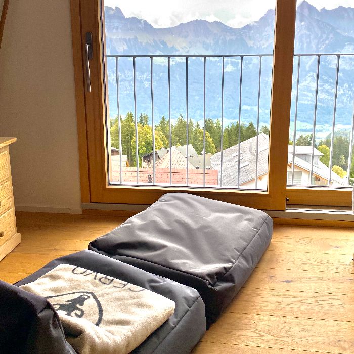FEWOlution Ferienwohnung Petit Tannenboden CharmingStay Flumserberg