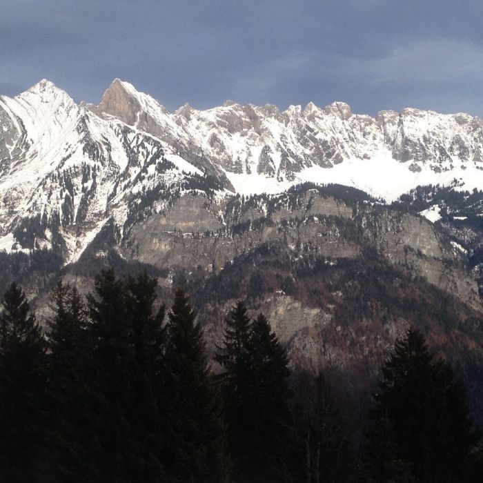 FEWOlution Ferienwohnung Panorama Reeling CharmingStay Flumserberg