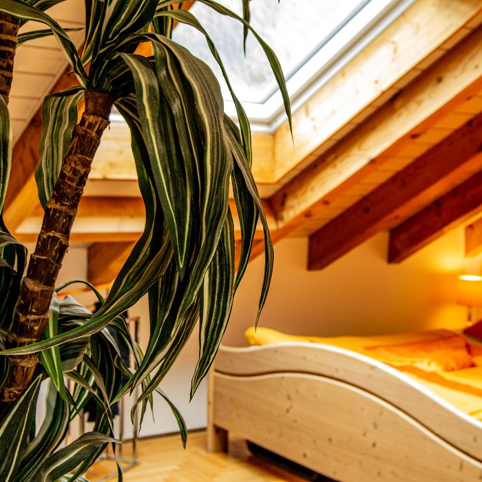 FEWOlution Ferienwohnung Onkel Toms Hütte Glarus