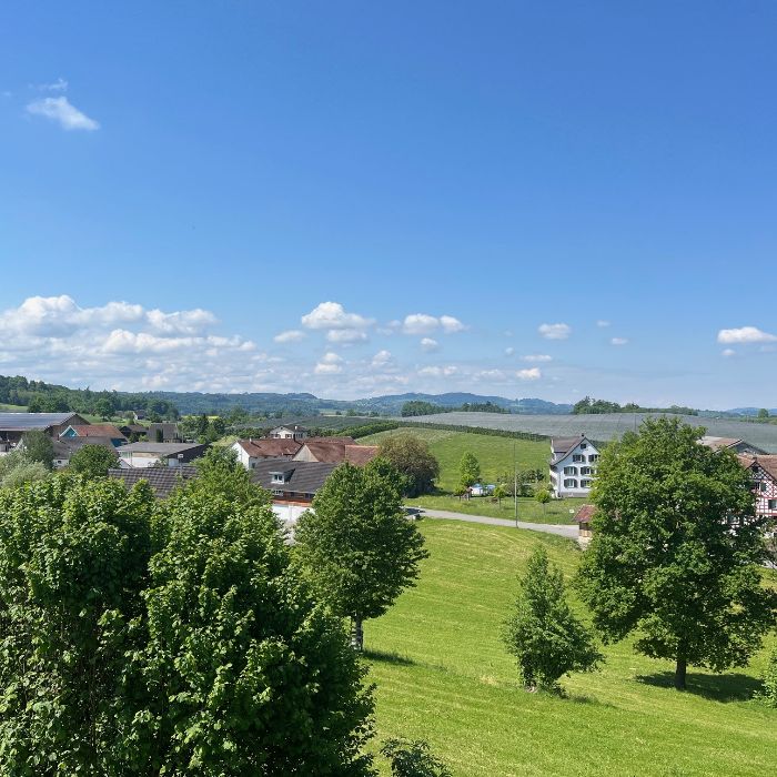 FEWOlution Ferienwohnung suite4you Riedt bei Erlen
