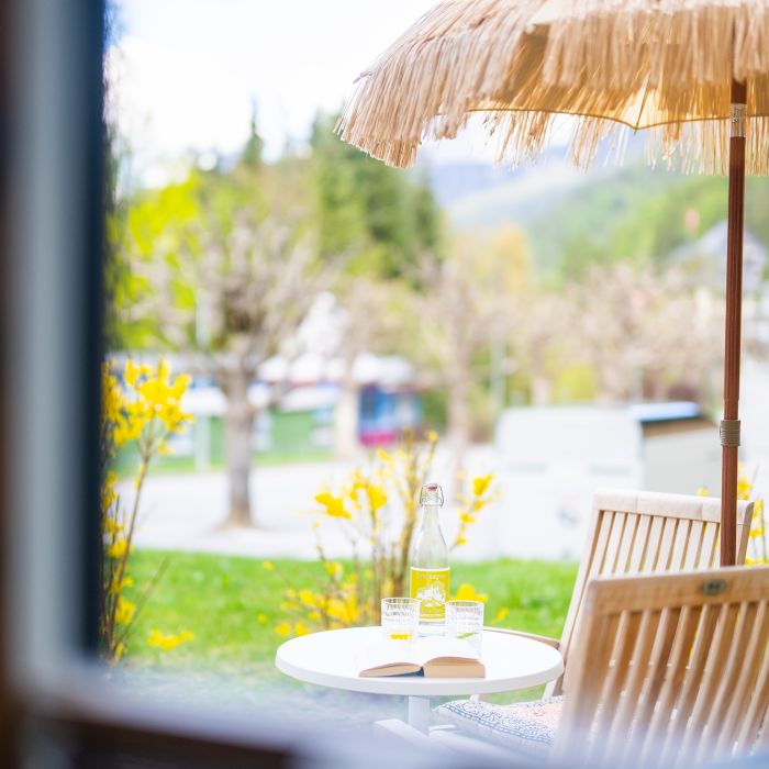 Ferienwohnung Chasa Valambrun 1001 - Golf Vulpera FEWOlution