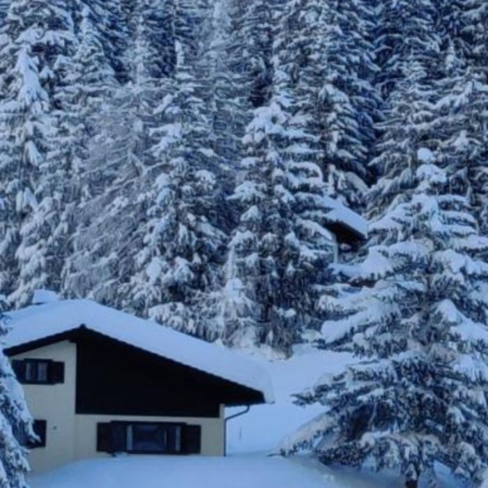 FEWOlution Ferienwohnung Chalet Laret Davos