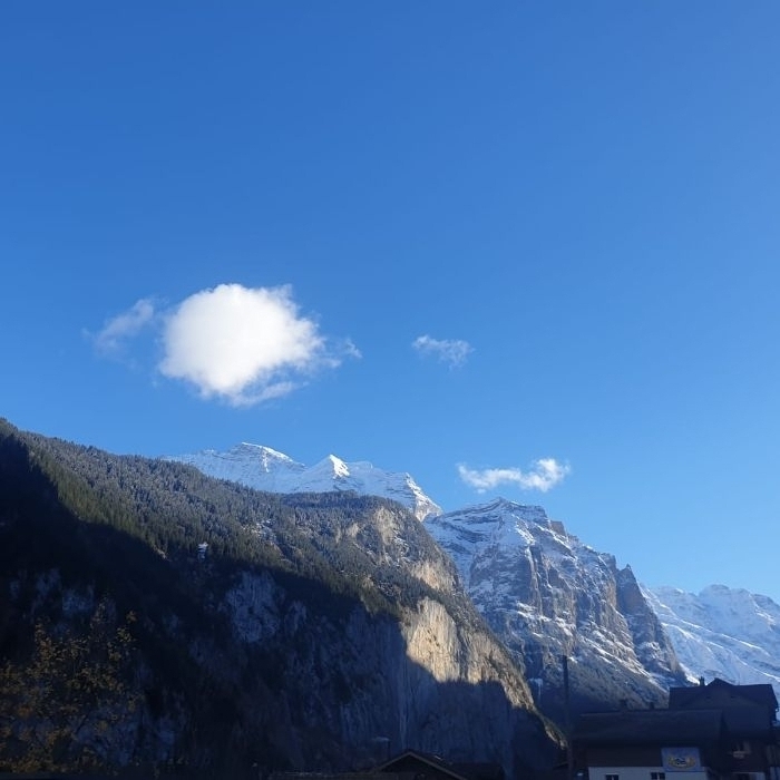Ferienwohnung Chalet Silberfirn Lauterbrunnen FEWOlution