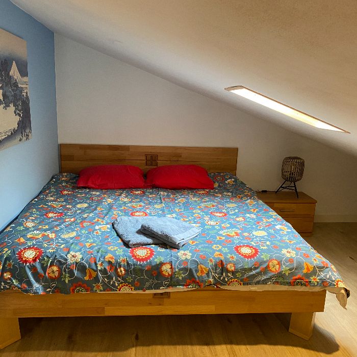 Ferienwohnung Spring Inn Schattenhalb FEWOlution