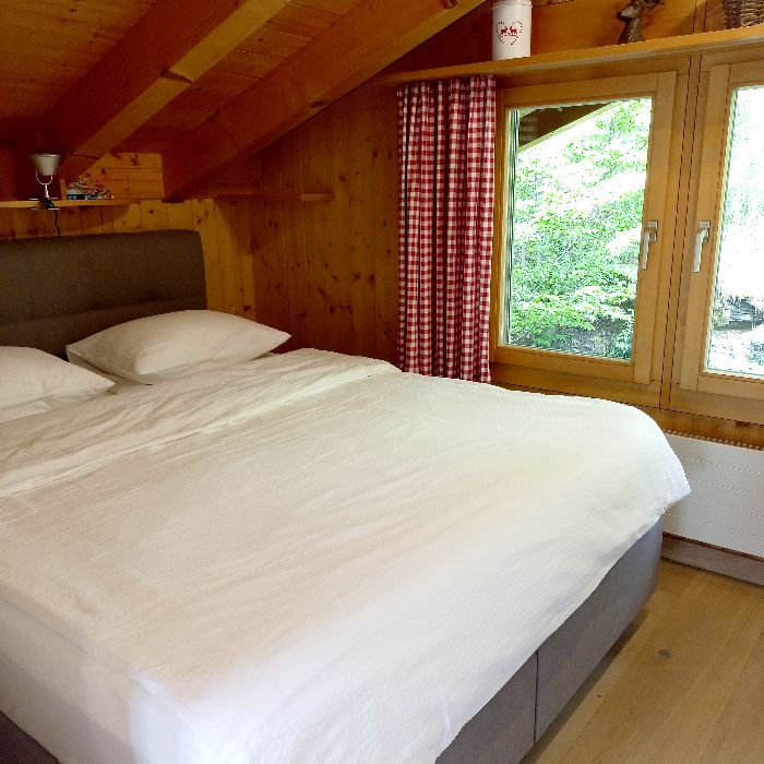 Ferienwohnung FEWO1317 Hasliberg Hasliberg FEWOlution