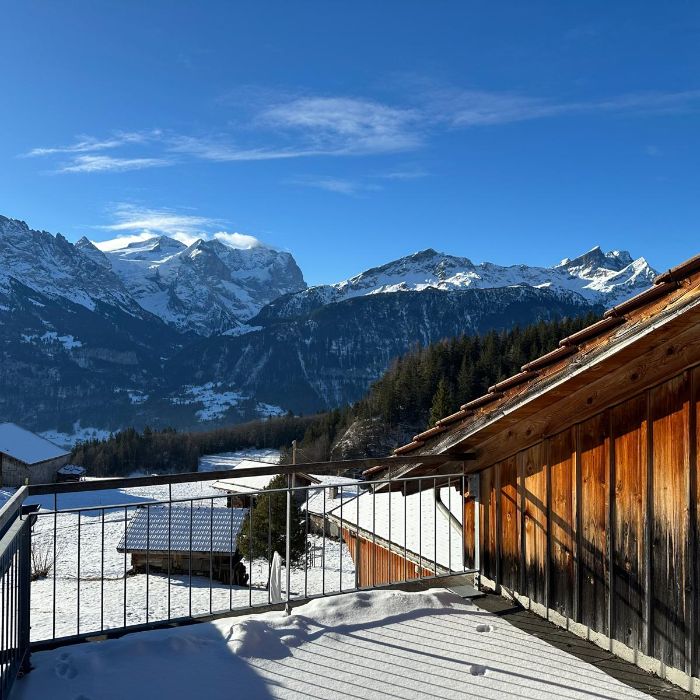 FEWOlution Ferienwohnung Hasliblick Wasserwendi
