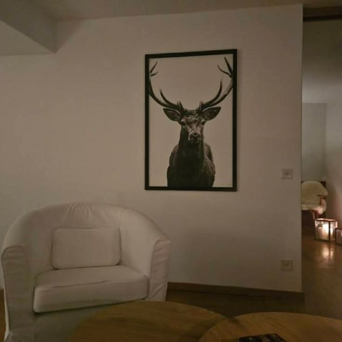 FEWOlution Ferienwohnung My happy Place Davos