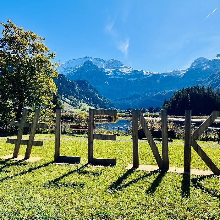 FEWOlution Ferienwohnung Chalet Feldheim  Lenk 