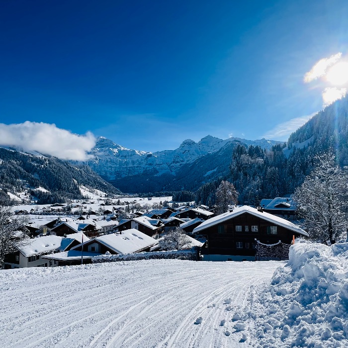 FEWOlution Ferienwohnung Chalet Feldheim  Lenk 