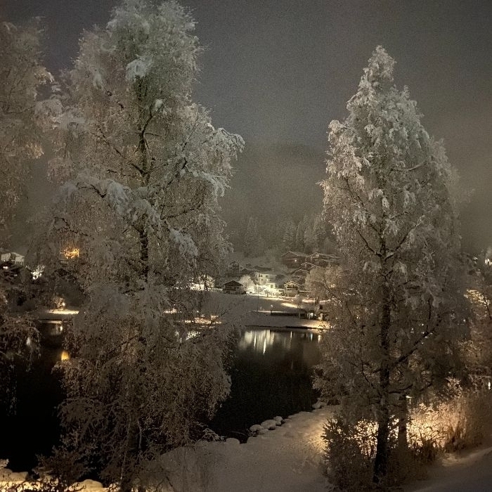 Ferienwohnung Lakeside Laax FEWOlution